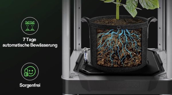 🍅 VGrow Smart Growbox mit 100W Vollspektrumlicht für 639,19€ (statt 700€)