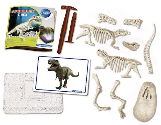 🦖 Clementoni Galileo Discovery Ausgrabungs Set T Rex ab 4,99€ (statt 12€)