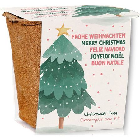 🎄 Valeaf Weihnachtsbaum (Nordmanntanne) Anzucht Set für 7,22€ (statt 17€)