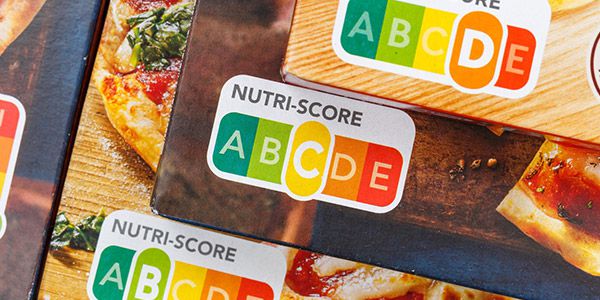 ℹ️ Neuerungen Januar 2026: Minijob, Mindestlohn, Grundsicherung, Deutschlandticket & mehr