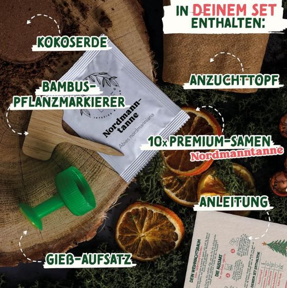 🎄 Valeaf Weihnachtsbaum (Nordmanntanne) Anzucht Set für 7,22€ (statt 17€) 🎄 Valeaf Weihnachtsbaum (Nordmanntanne) Anzucht Set für 7,22€ (statt 17€)