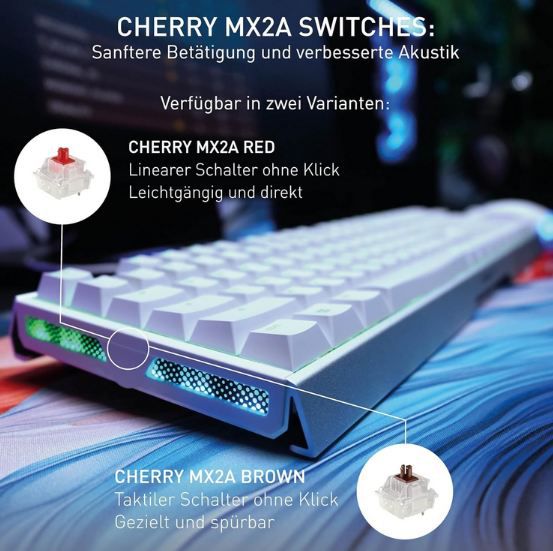 ⌨️ Cherry XTRFY MX 3.1 Mechanische Gaming-Tastatur für 49,99€ (statt 94€) ⌨️ Cherry XTRFY MX 3.1 Mechanische Gaming Tastatur für 49,99€ (statt 94€)