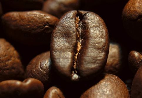 ☕ 1kg Caffe Corsini Compagnia dell Arabica Kaffeebohnen ab 16€ (statt 23€)