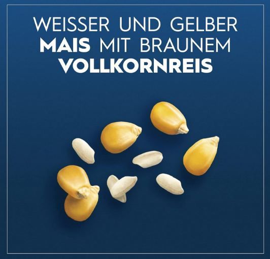 🍝 10er Pack Barilla Pasta Glutenfreie Lasagne aus Mais & Reis ab 26€ (statt 30€)