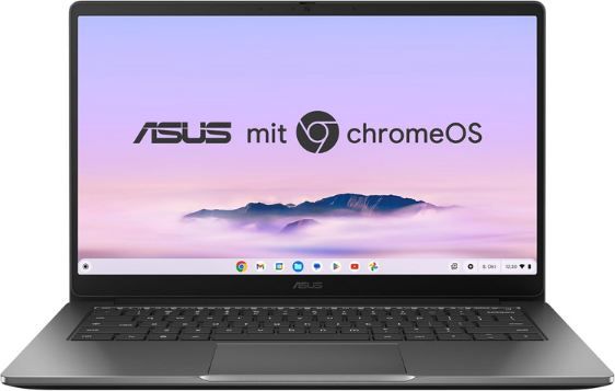 💻 ASUS CX14 Chromebook Plus 14 FHD Laptop mit Intel 3 N355 für 349€ (statt 449€)