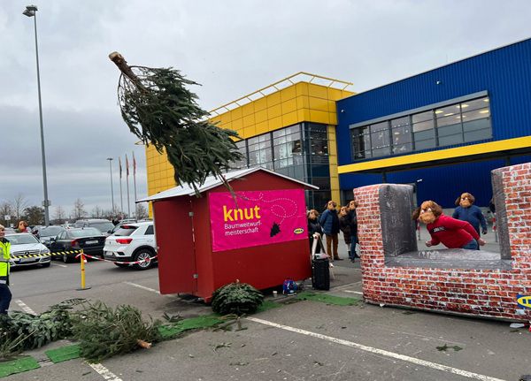 Ikea: Knutbaumweitwurf Meisterschaft 2026