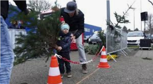 Ikea: Knutbaumweitwurf Meisterschaft 2026