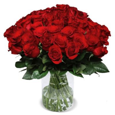 🌹 44 rote Rosen im Strauß ClassicRed Roses 40cm für 32,98€