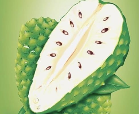 🧉 12x 1L Maaza Soursop Guanabana Fruit Drink für 12,59€ (statt 26€) - 1,05€ pro Drink 🧉 12x 1L Maaza Soursop Guanabana Fruit Drink für 12,59€ (statt 26€) 1,05€ pro Drink