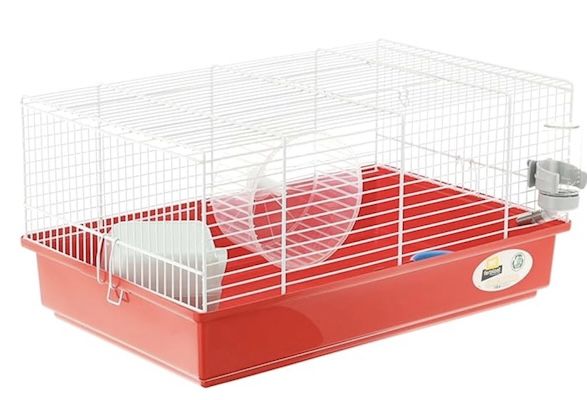 🐹 Amazon: Kleintier Produkte im Sale - Freigehege, Futter, Häuschen z.B. 5kg Zwergkaninchenfutter für 8,58€ (statt 12€) 🐹 Amazon: Kleintier Produkte im Sale Freigehege, Futter, Häuschen z.B. 5kg Zwergkaninchenfutter für 8,58€ (statt 12€)