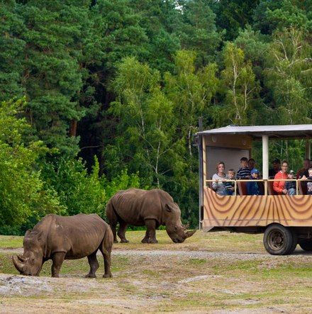 🦁 Serengeti-Park inkl. 2 ÜN in der Lüneburger Heide mit Frühstück + Dinner ab 139€ p.P.
