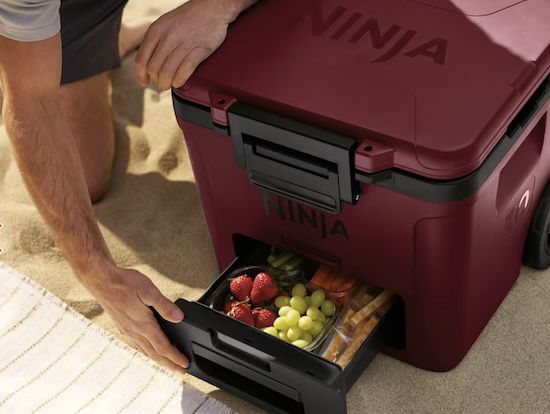 🧊 Ninja FrostVault 28L Kühlbox mit Rädern und Trockenzone ab 134,99€ (statt 199€)
