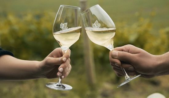 🥂 Lallier Blanc de Blancs Champagner Brut, trocken für 37,60€ (statt 58€)