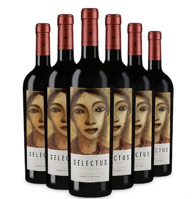 🍷 12 Flaschen Bodega Los Aljibes Selectus 2007 Rotwein für 139,90€ (statt 162€)