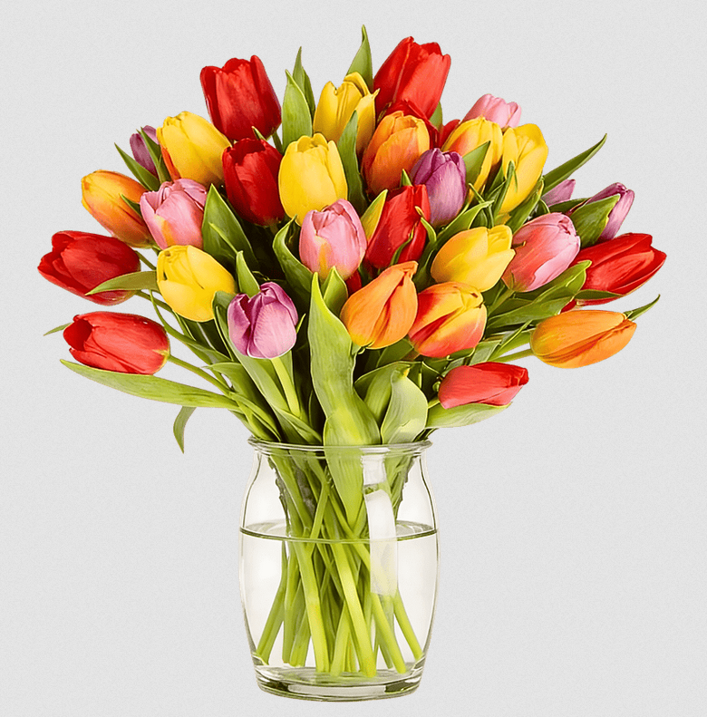 💐 Frühlingsstrauß  33 bunte Tulpen für 27,98€ (statt 37€)