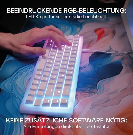 👾  50% Rabatt auf Gaming Bundles   z.B. Cherry Tastatur + Maus 44,99€ (statt 90€)