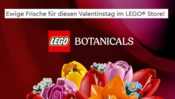 LEGO Botanicals Kollektion im nächstgelegenen LEGO Store entdecken