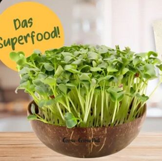 Magenta Moments: Grow Grow Nut Anzuchtsset gratis + VSK