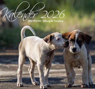 Vier Pfoten: Tierkalender 2026 gratis