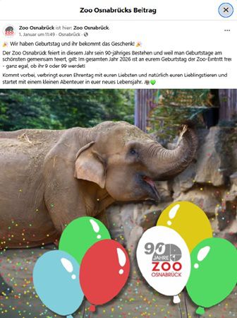 🐼 Für Geburtstagskinder: Kostenloser Eintritt in den Zoo Osnabrück