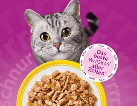 🐱 Whiskas Aktion: Schnurren oder Geld zurück   ab 01.04.