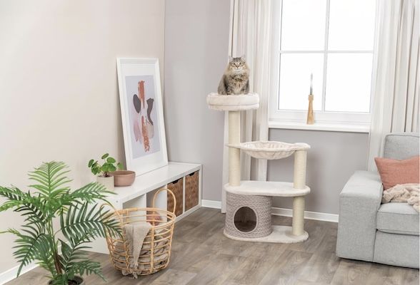 đâ⏠Trixie Kratzbaum Alessia mit 114cm fĂŒr 92,49⏠(statt 102âŹ) đâ⏠Trixie Kratzbaum Alessia mit 114cm fĂŒr 92,49⏠(statt 102âŹ)