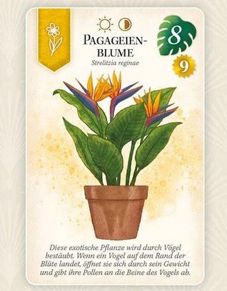 🪴 KOSMOS 683245 Sattgrün Familienspiel ab 10 Jahren für 11,67€ (statt 21€) 🪴 KOSMOS 683245 Sattgrün Familienspiel ab 10 Jahren für 11,67€ (statt 21€)