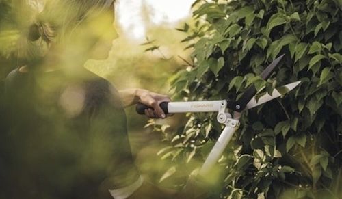 ✂️ Fiskars Heckenschere HS53 in 22 cm für 20€ (statt 35€)