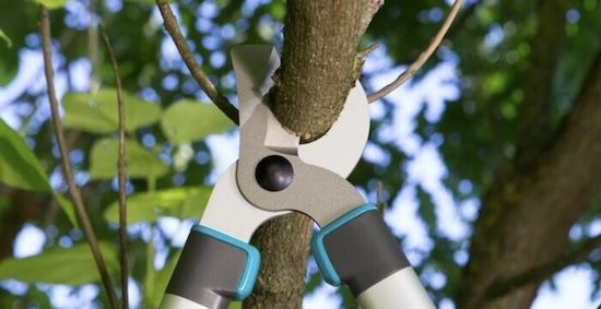  Gardena EasyCut 680B Bypass-Astschere, 42 mm Schnittstärke für 26,90€ (statt 42€) Gardena EasyCut 680B Bypass Astschere, 42 mm Schnittstärke für 26,90€ (statt 42€)