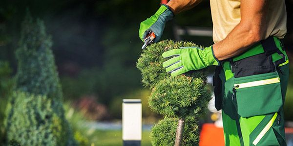 ℹ️ Neuerungen Februar 2026: Geld für Solarstrom, ETA Reisen, Trinkwasserleitungen & mehr