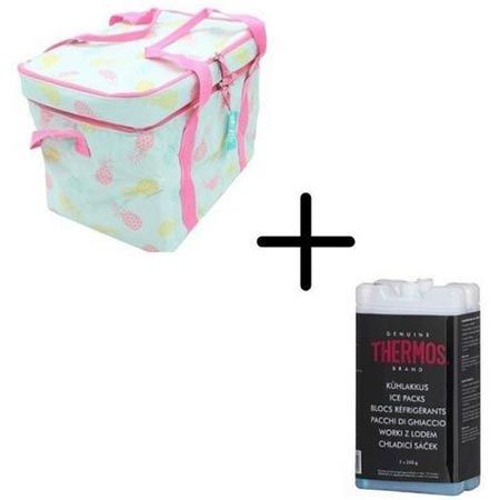 🧊 Fiduciashop Kühltasche mit 24L + Thermo Akkus für 11,39€ (statt 40€)