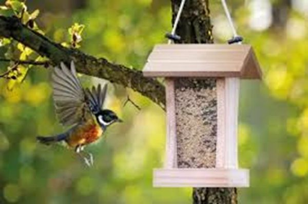 Bei Bingo eine Futter-Station gratis bestellen Bei Bingo eine Futter Station gratis bestellen