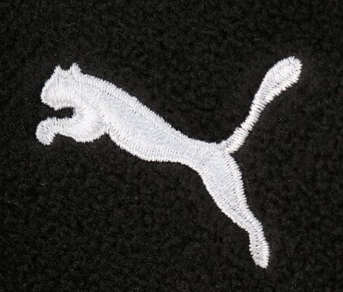 🧤 PUMA teamLIGA 21 Winter Handschuhe ab 9,90€ (statt 16€)