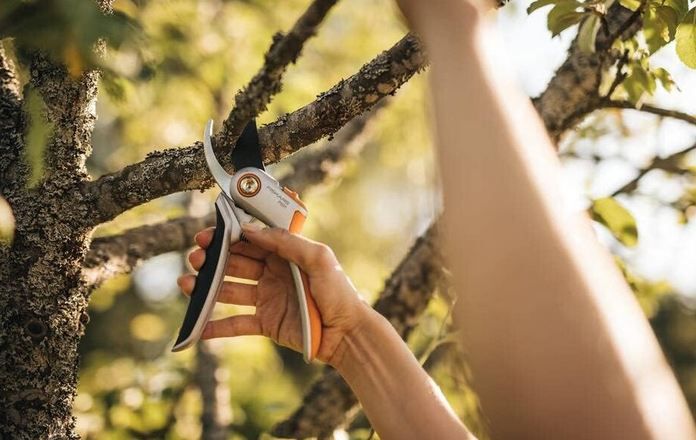 ✂️ Fiskars P531 Bypass Gartenschere für 16,23€ (statt 25€)