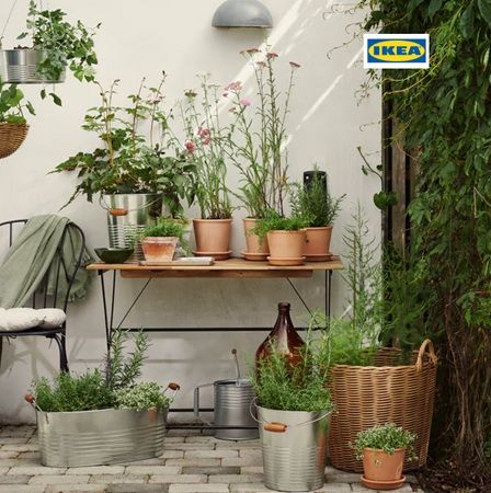 🌻 IKEA Wallau: Blumentopf bemalen & Blumensamen einsäen am 20. und 21.03.