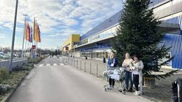 🌻 IKEA Wallau: Blumentopf bemalen & Blumensamen einsäen am 20. und 21.03.