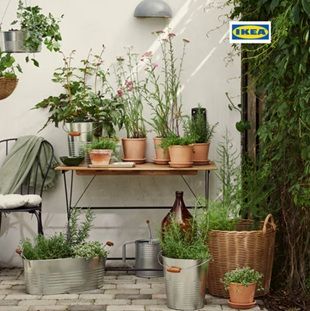 🌻 IKEA Wallau: Blumentopf bemalen & Blumensamen einsäen am 20. und 21.03.