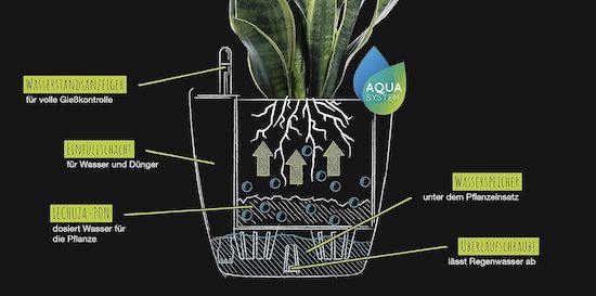 🪴 Lechuza Classico Color 28 Blumentopf mit Selbstbewässerung ab 22,99€ (statt 29€)