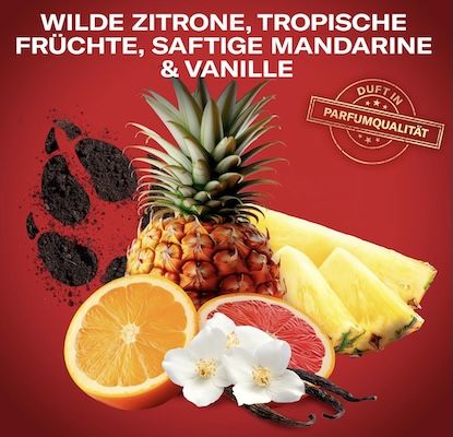 🤷‍♂️ 9x Old Spice Gamer Geschenkset für 29,93€ (statt 45€)