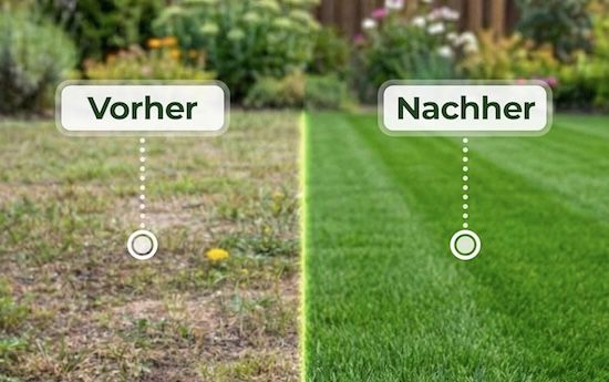 🌱 10kg Natureflow Rasensamen schnellkeimend bis 400qm für 56,95€ (statt 69€)