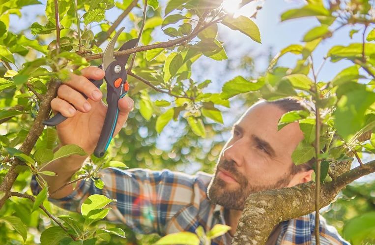 ✂️ Gardena PremiumCut Pro Flex Bypass Gartenschere für 20,99€ (statt 25€) ✂️ Gardena PremiumCut Pro Flex Bypass Gartenschere für 20,99€ (statt 25€)