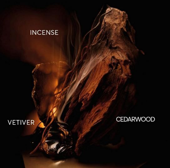 👃🏻 Boss Bottled Elixir Intense for him Parfum, 100ml für 58,66€ (statt 68€)