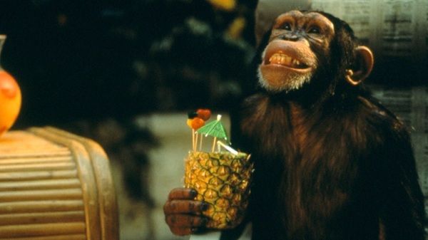 🎥 UCI: Gratis Kinokarten für Primate am 21.03.   IMdB 5,8