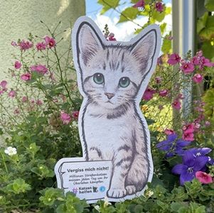 🐱 Blumenaktion für Strassenkatzen