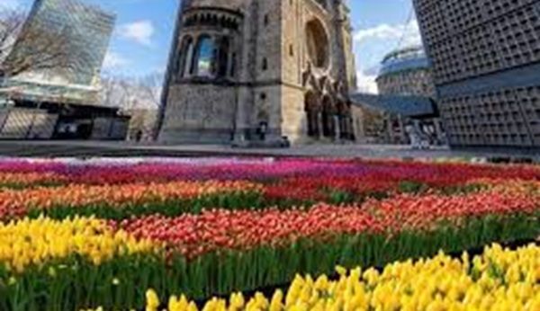 🥀 Berlin: Tulpentag am Breitscheidplatz am 14.03.