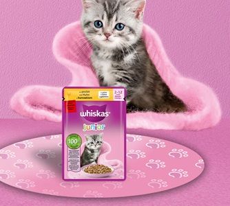 🐈 Gratis: Futterprobe von WHISKAS Junior abholen