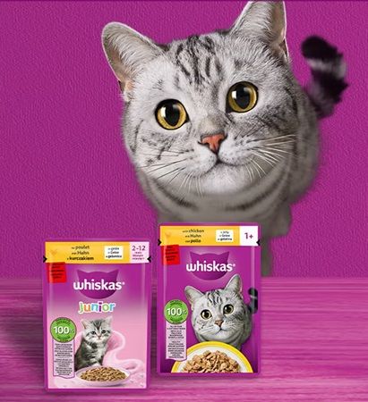 🐈 Gratis: Futterprobe von WHISKAS Junior abholen 🐈 Gratis: Futterprobe von WHISKAS Junior abholen