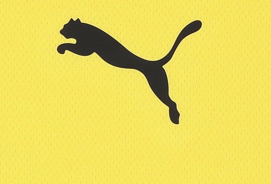 👦🏼👧🏼 Puma Unisex Kinder Teamrise Jersey Jr Shirt für 8,99€ (statt 12€)