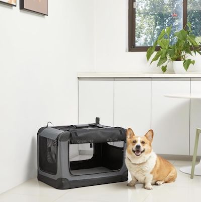 🐶 Amazon Basics faltbarer Reisezwinger in Größe S für 19,99€ (statt 35€)