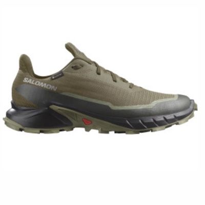 🧗🏿 Salomon Alphacross 5 Gore-Tex Herren Trail-Laufschuh für 88,99€ (statt 100€)